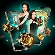 Giao diện sabong thân thiện trên điện thoại di động, dễ sử dụng cho người chơi Việt Nam